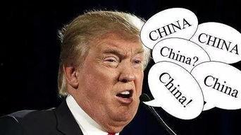 吃瓜蒙主间谍身份解析,间谍身份背后的真相与谜团